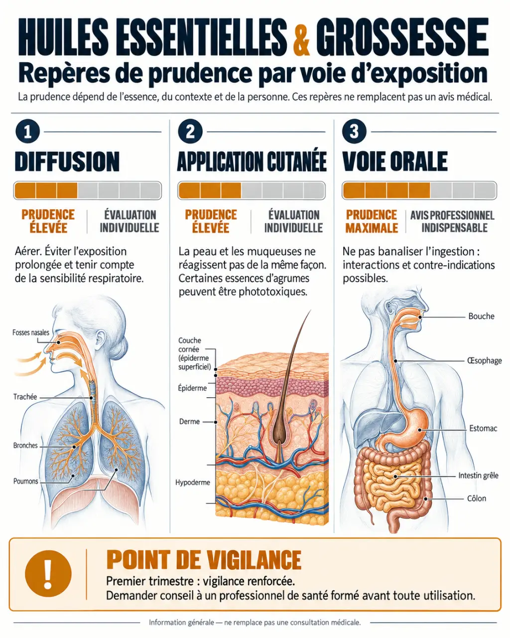 Huiles essentielles grossesse : voies d’exposition et précautions à connaître